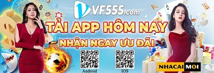 Nhà cái VF555 phải hồi lại thông tin lừa đảo