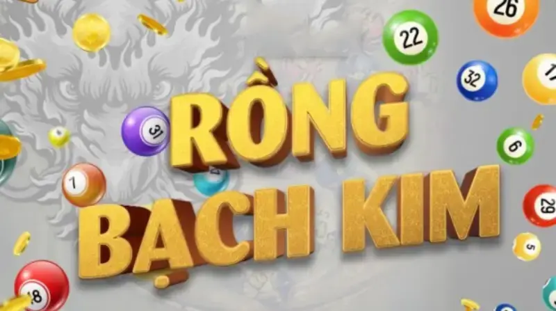 Rồng Bạch Kim 666 là gì?