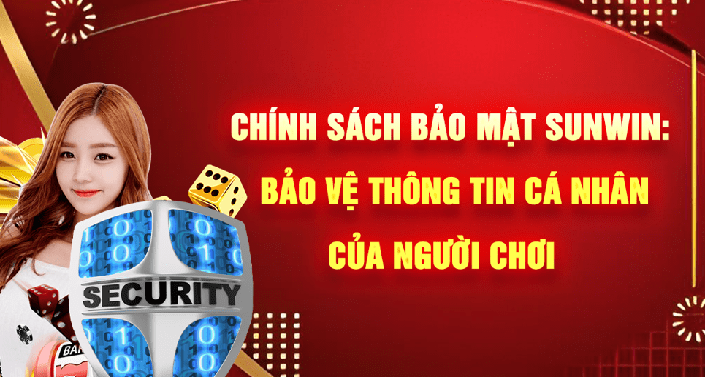 Tổng quan Chính Sách Bảo Mật Sunwin