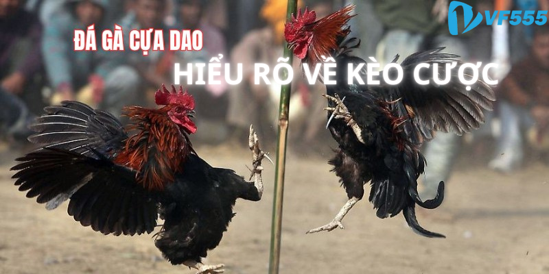 Hiểu rõ về kèo cược