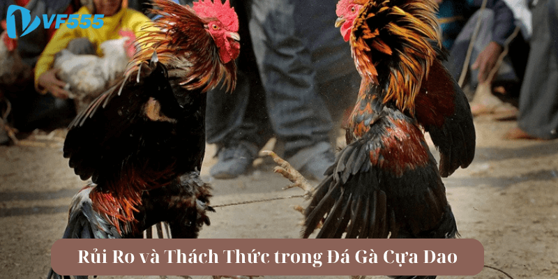 Rủi Ro và Thách Thức trong Đá Gà Cựa Dao