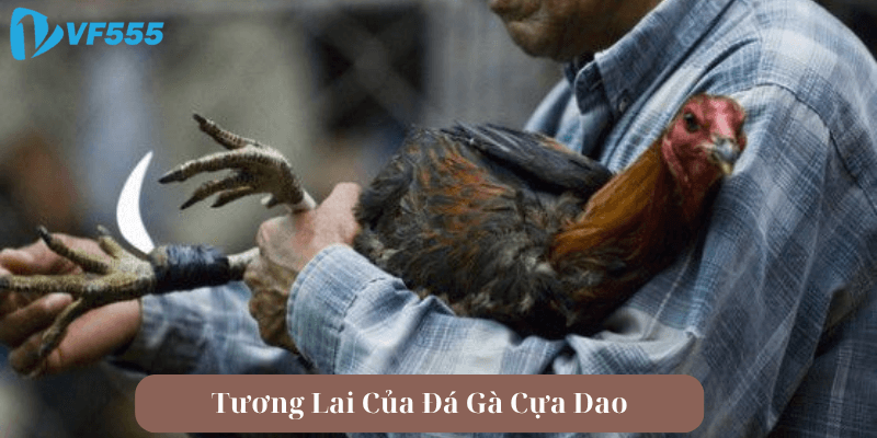 Tương Lai Của Đá Gà Cựa Dao