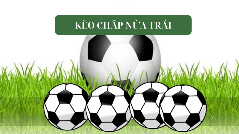 Kèo chấp nửa trái tại vf555