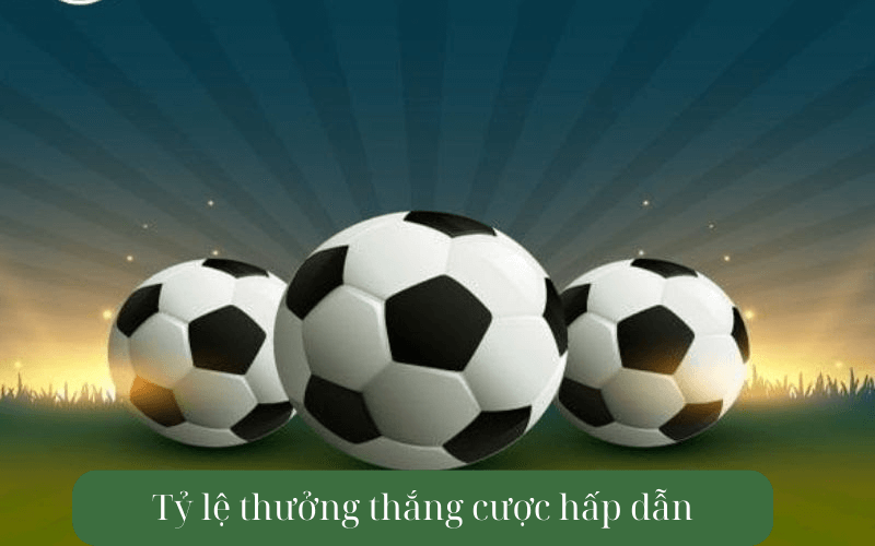 Tỷ lệ thưởng thắng cược hấp dẫn